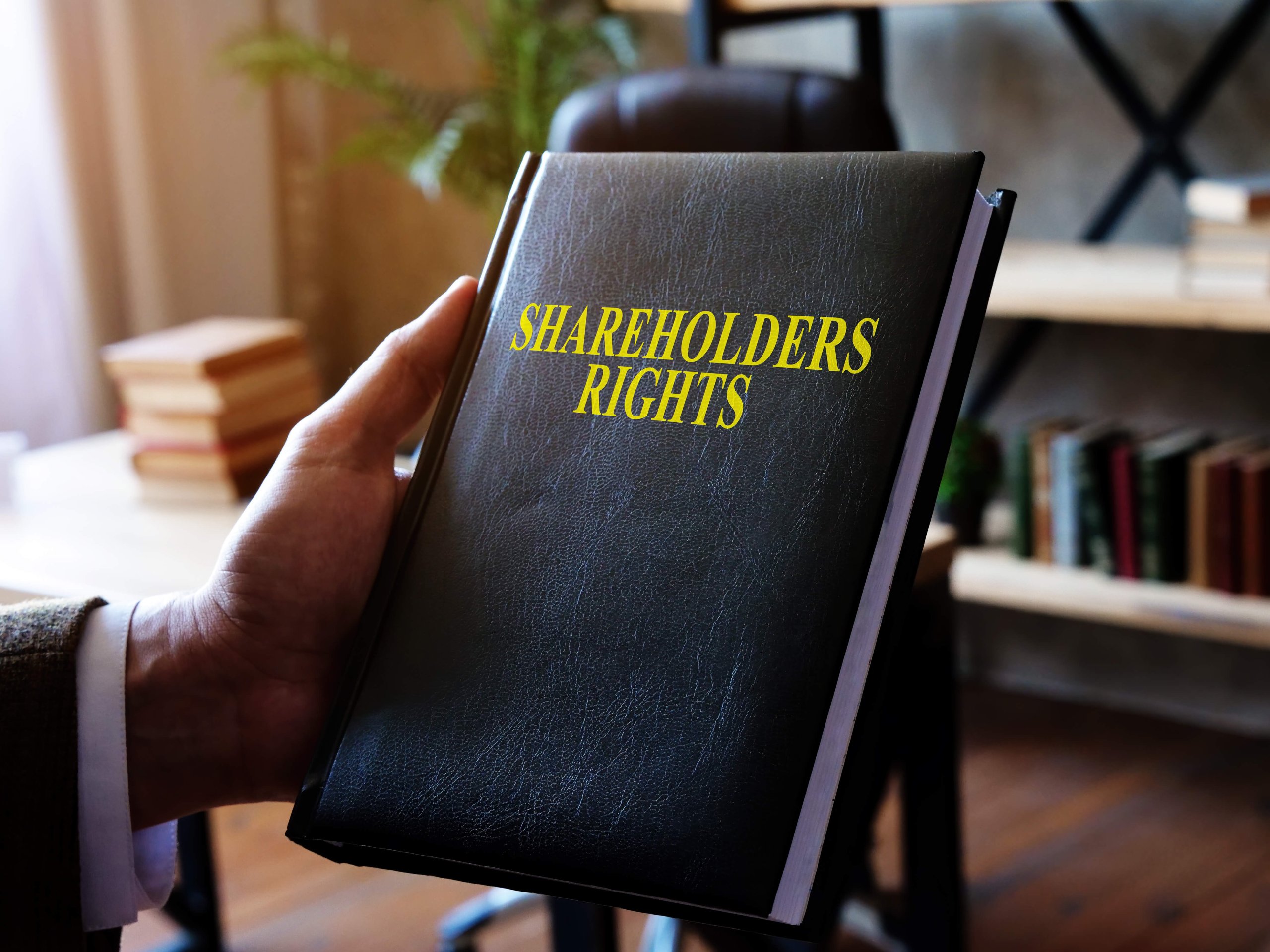 How to protect minority shareholder rights